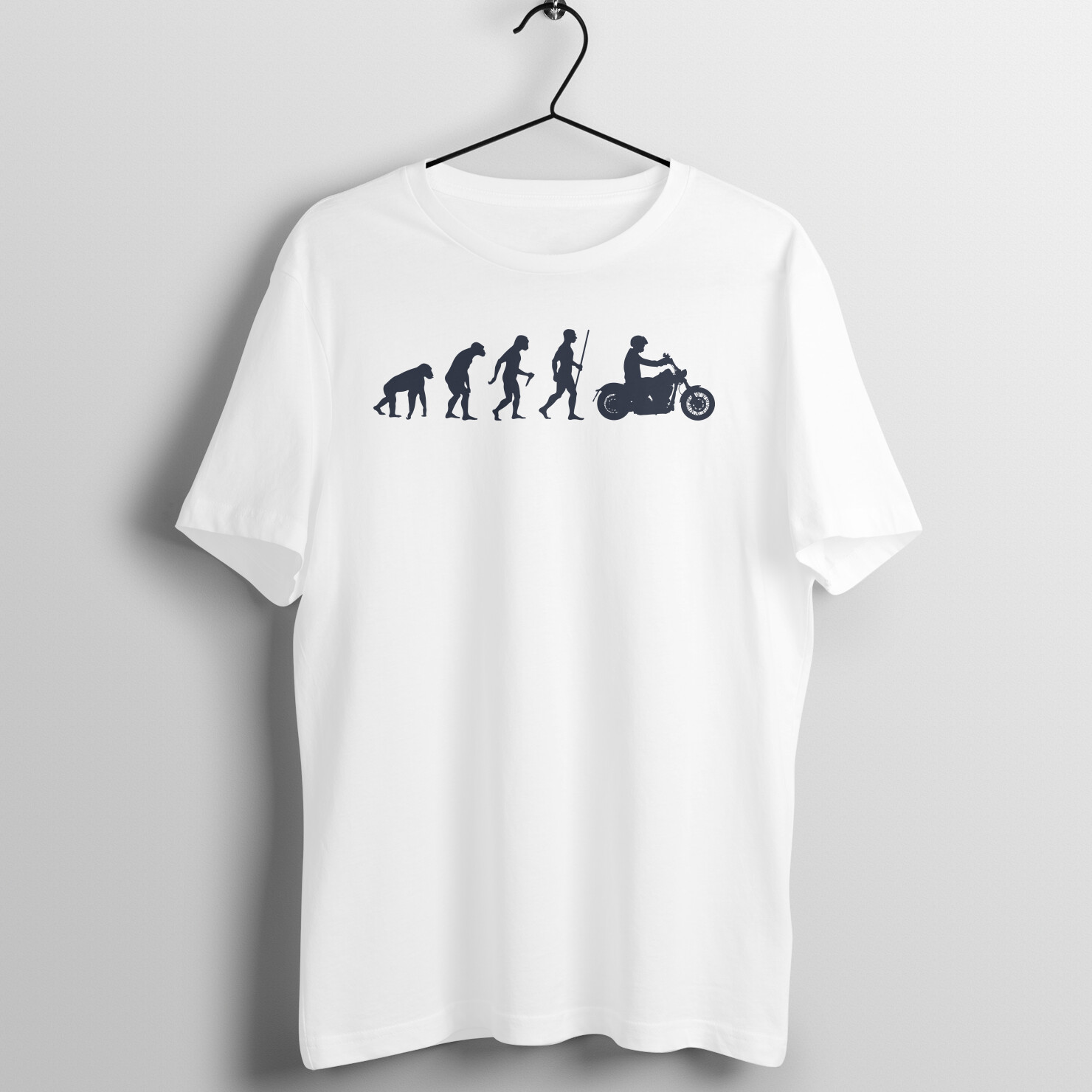 Evolution (light) - Image 3